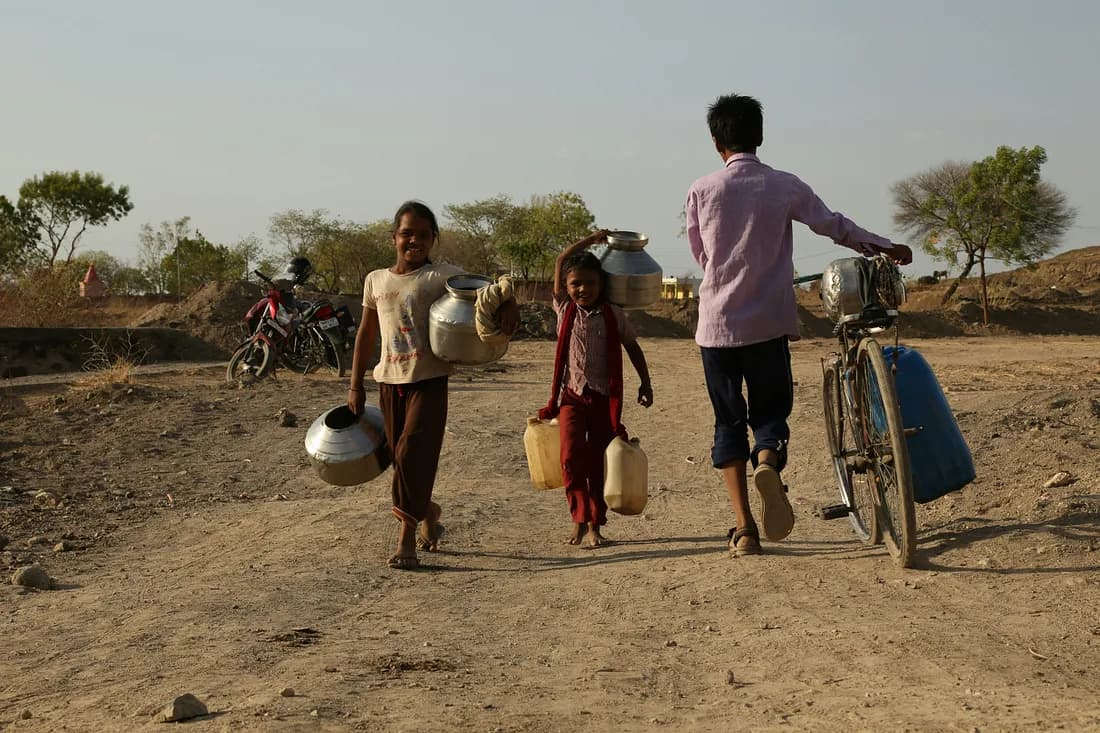 Rooted in Resilience: How To Conquer Food Insecurity