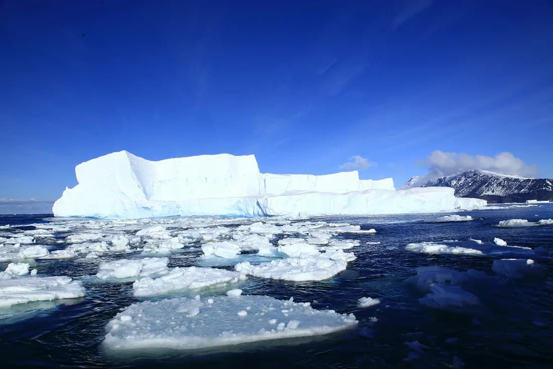 Summer 2025 Climate Alert: The Planet’s Silent Scream