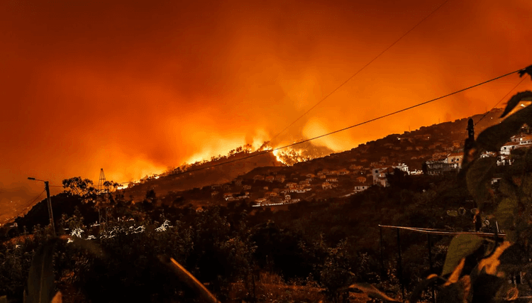 Canada’s Climate Catastrophe: Wildfires, Melting Permafrost, and a Nation Under Siege